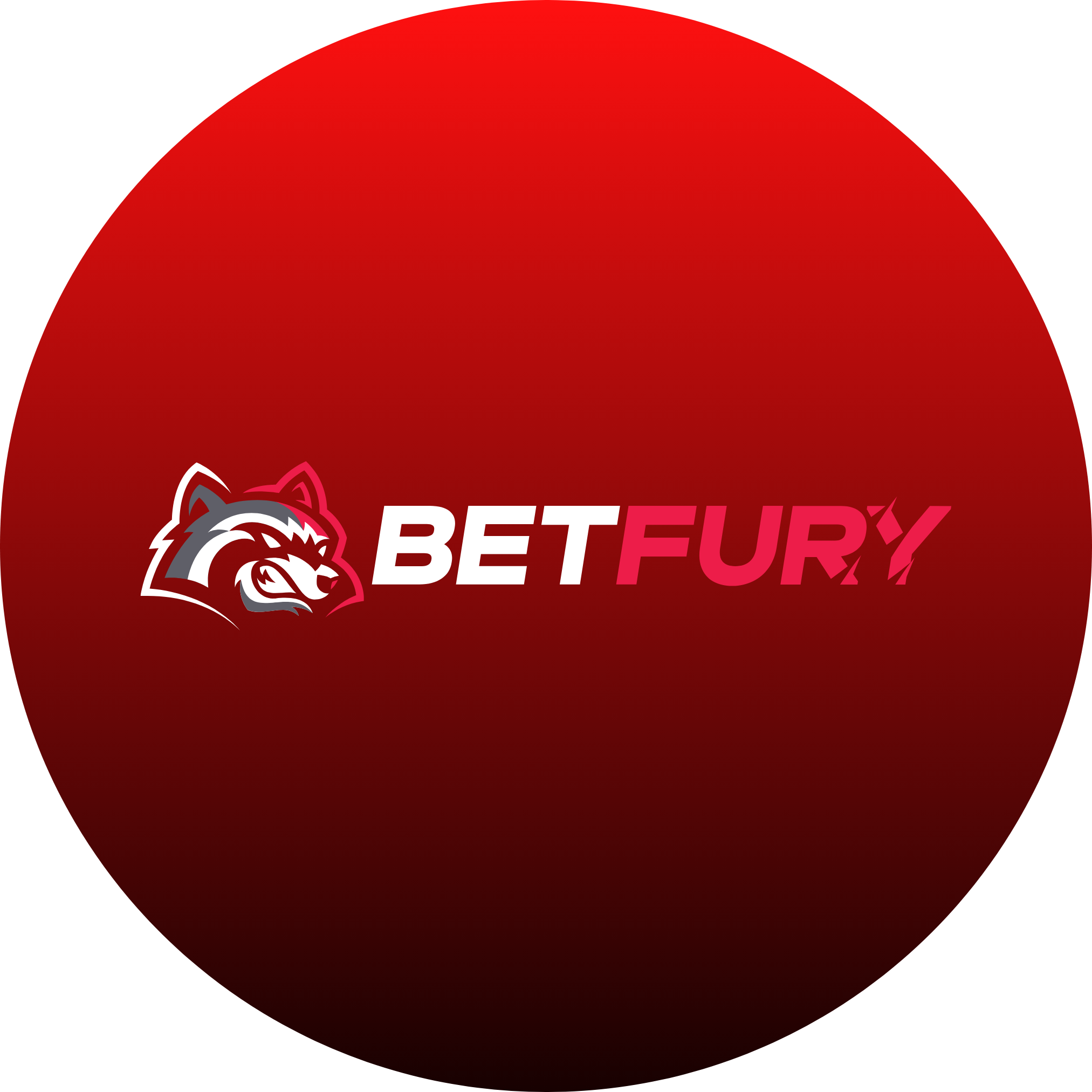 BetFury logo